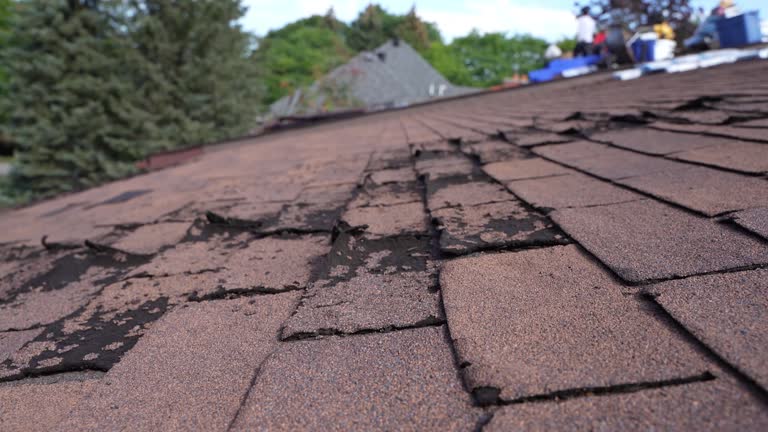 Best Cold Roofs  in Venice, IL